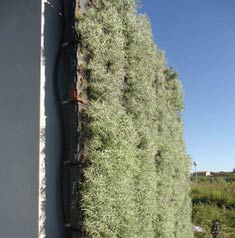 Los muros vegetales reducen el ruido en carretera hasta un 50%