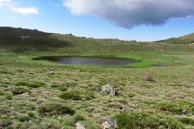 LAGUNA SECA. SIERRA NEVADA